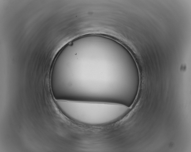 X0000090911513200707301022