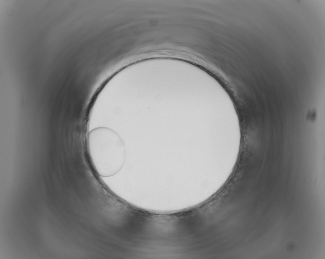 X0000090911514200707301022
