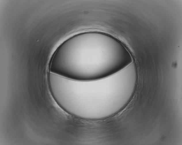 X0000090911516200707301022