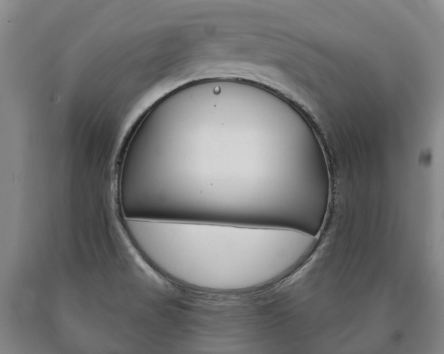 X0000090911517200707301022