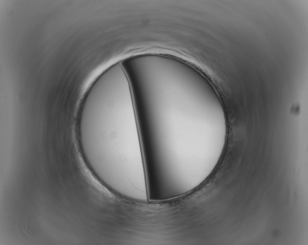 X0000090911518200707301022