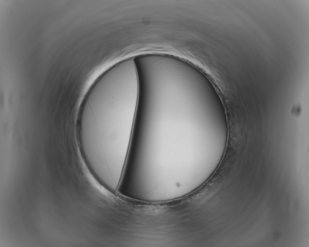 X0000090911519200707301022