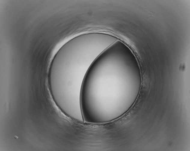 X0000090911520200707301022