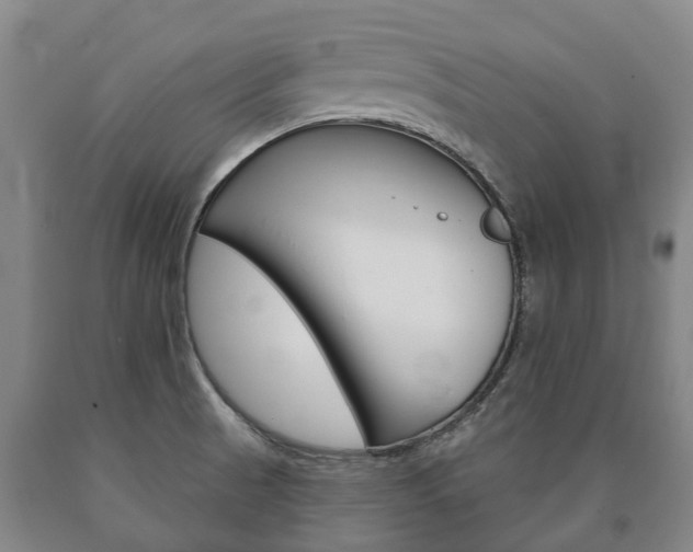 X0000090911521200707301022
