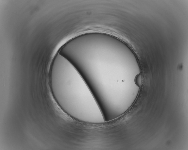 X0000090911522200707301022