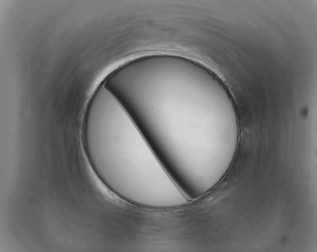 X0000090911523200707301022