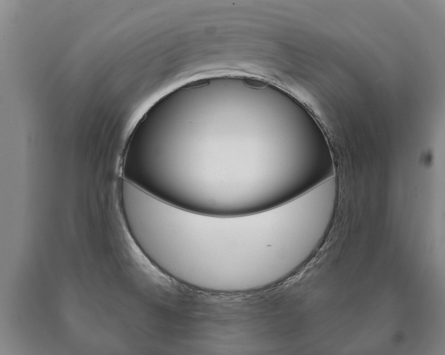 X0000090911524200707301022