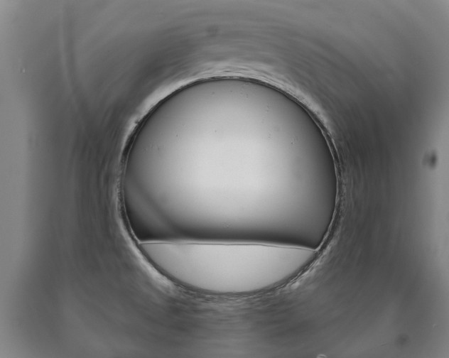 X0000090911525200707301022