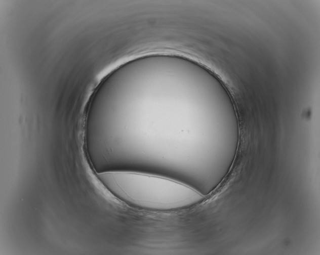 X0000090911526200707301022