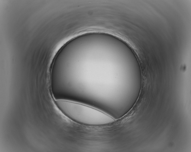 X0000090911527200707301022