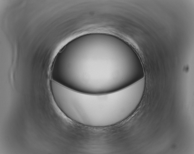 X0000090911528200707301022