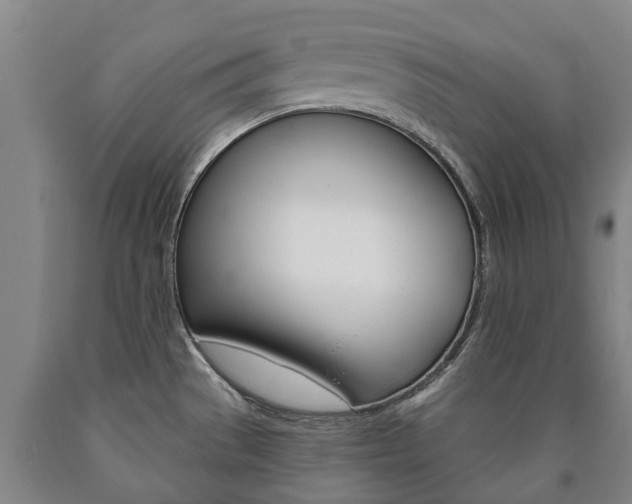 X0000090911529200707301022