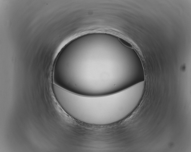 X0000090911530200707301022