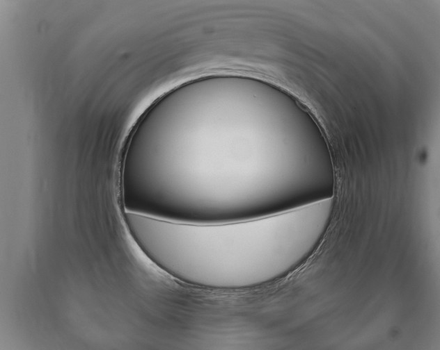 X0000090911531200707301022