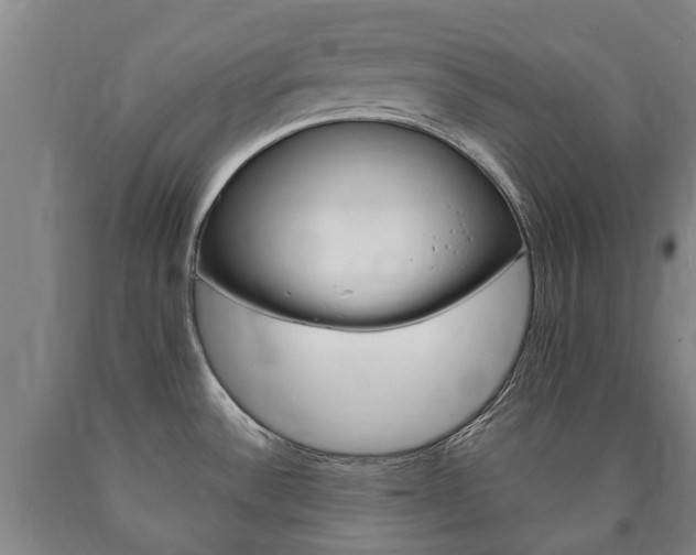 X0000090911532200707301022