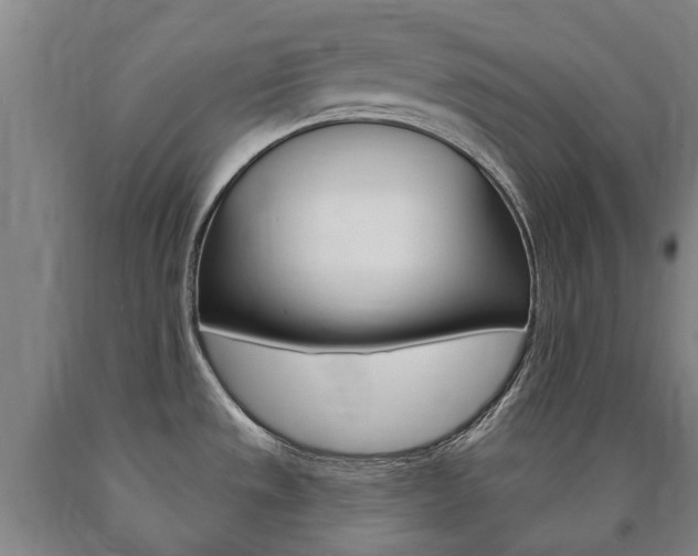 X0000090911533200707301022