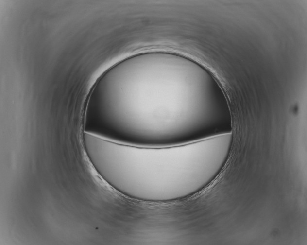 X0000090911534200707301022