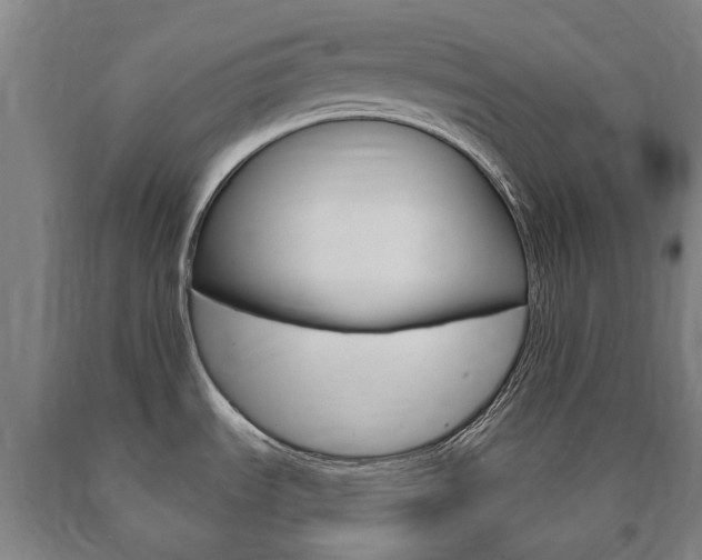 X0000090911535200707301022