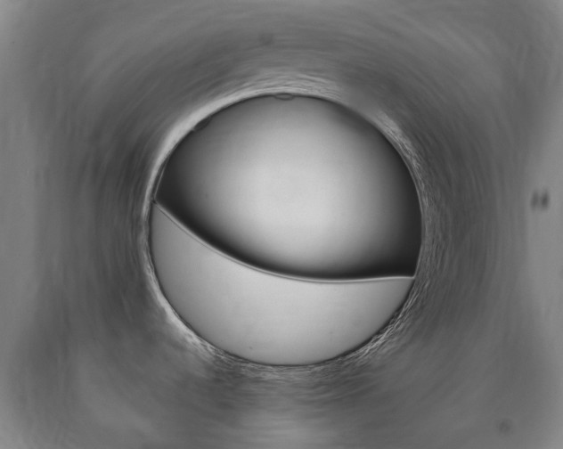 X0000090911536200707301022