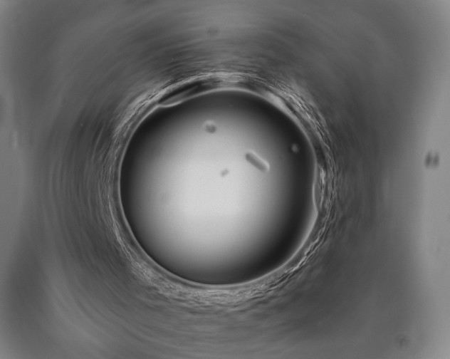 X0000090910001200707301444