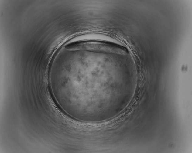 X0000090910002200707301444