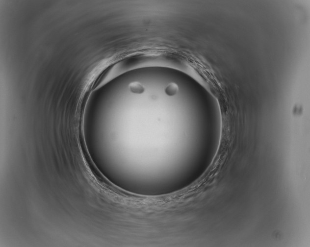 X0000090910003200707301444