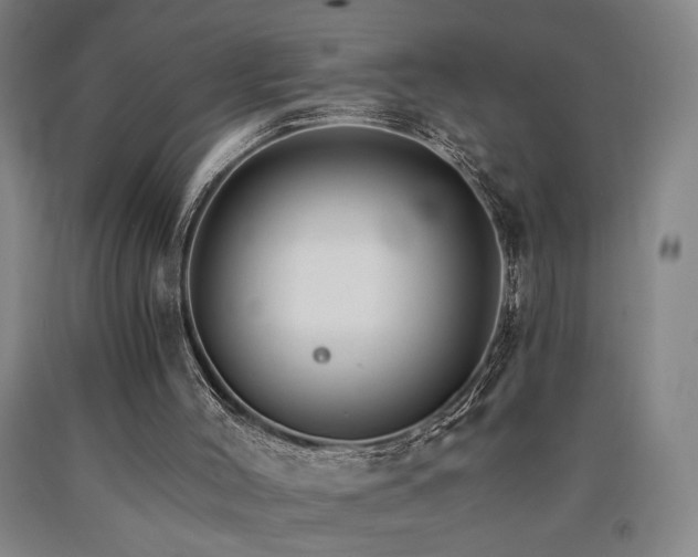 X0000090910004200707301444