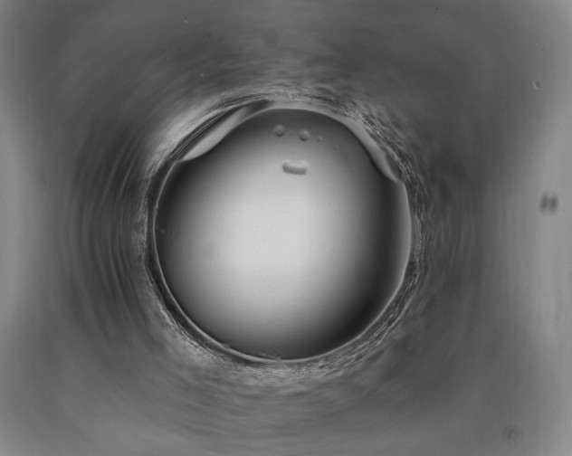 X0000090910005200707301444