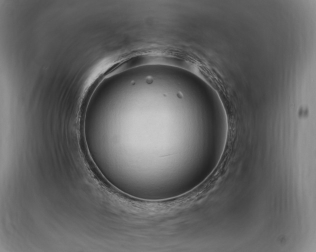 X0000090910006200707301444