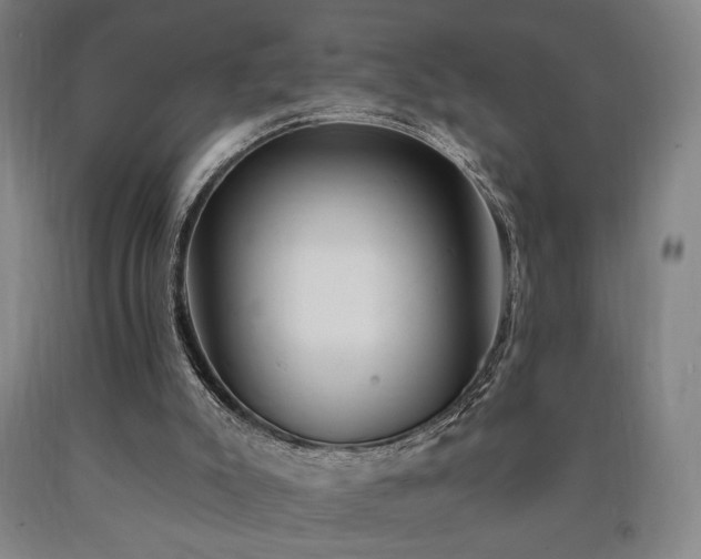 X0000090910007200707301444