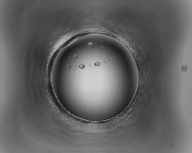 X0000090910008200707301444