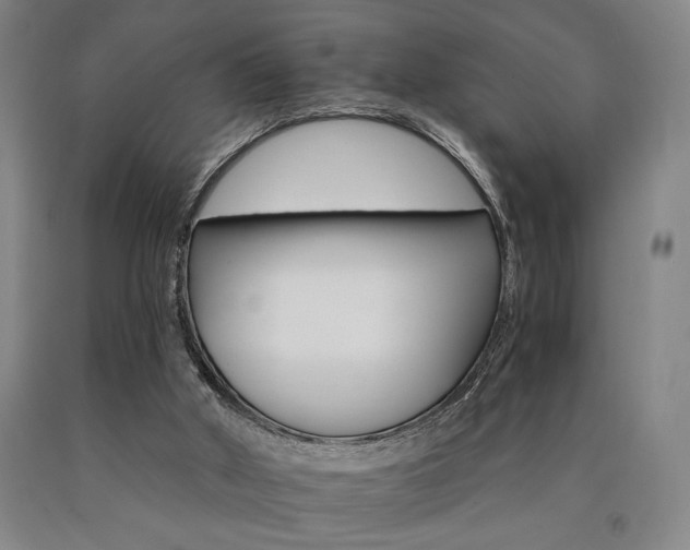 X0000090910010200707301444