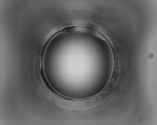 X0000090910011200707301444