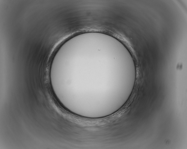 X0000090910012200707301444