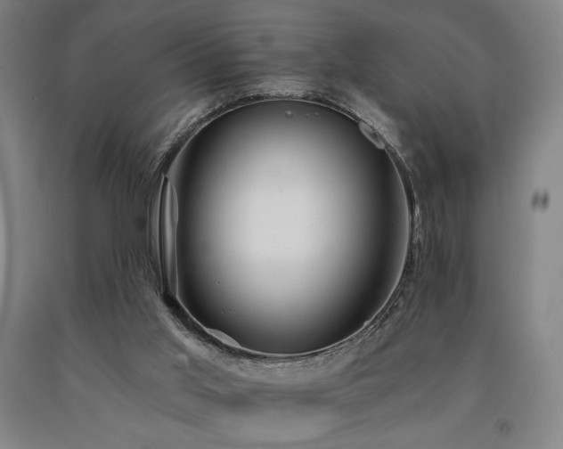 X0000090910013200707301444