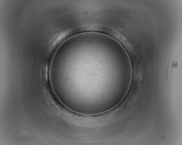 X0000090910014200707301444