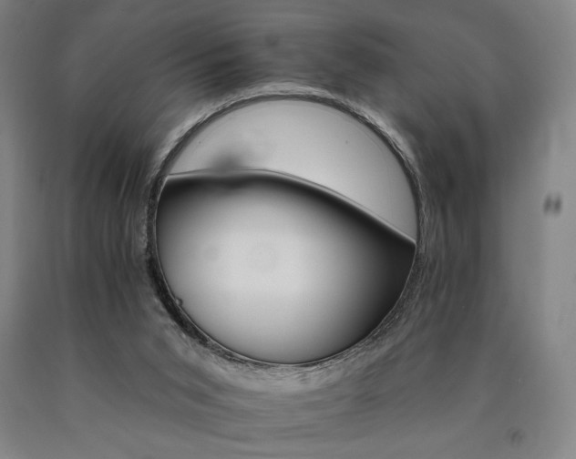 X0000090910015200707301444