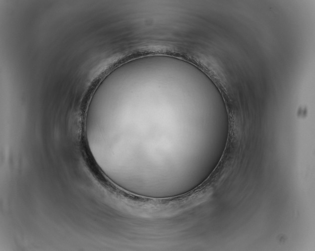 X0000090910016200707301444