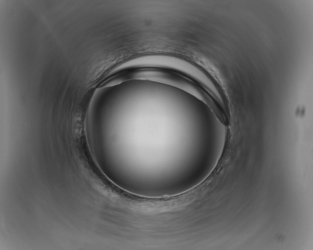 X0000090910017200707301443