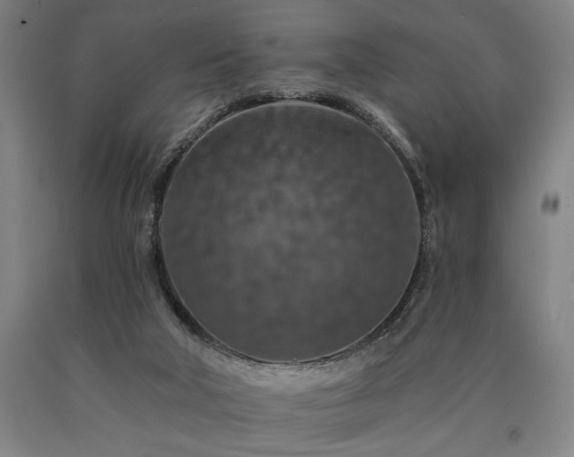 X0000090910018200707301443