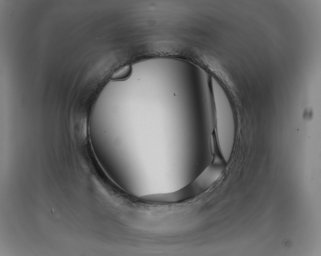 X0000090910021200707301443