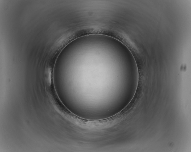 X0000090910022200707301443