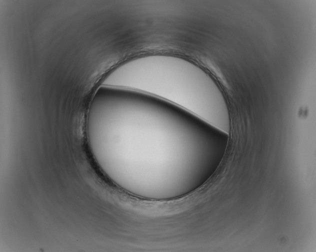 X0000090910023200707301443