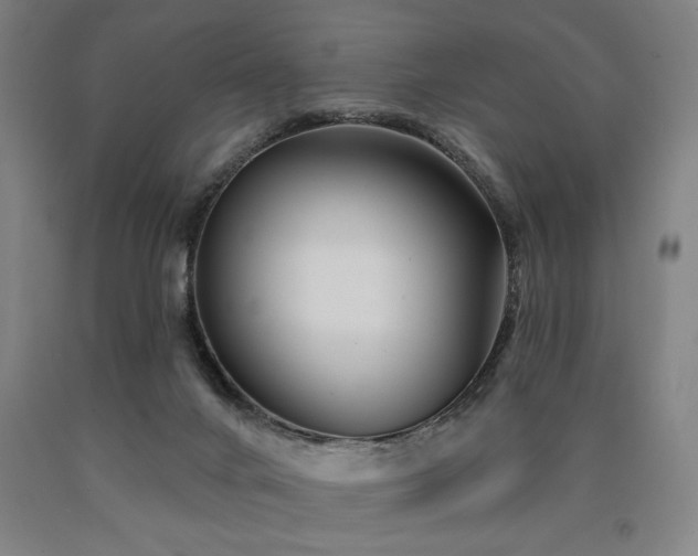 X0000090910024200707301443