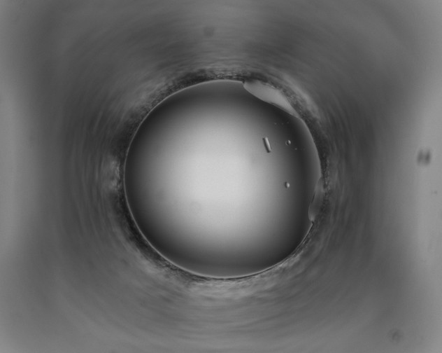 X0000090910025200707301443