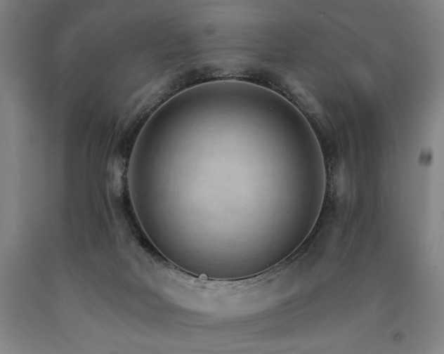 X0000090910026200707301443