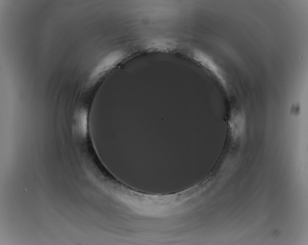 X0000090910027200707301443