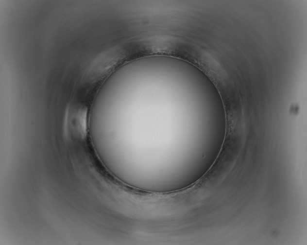 X0000090910028200707301443