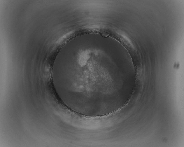 X0000090910029200707301443