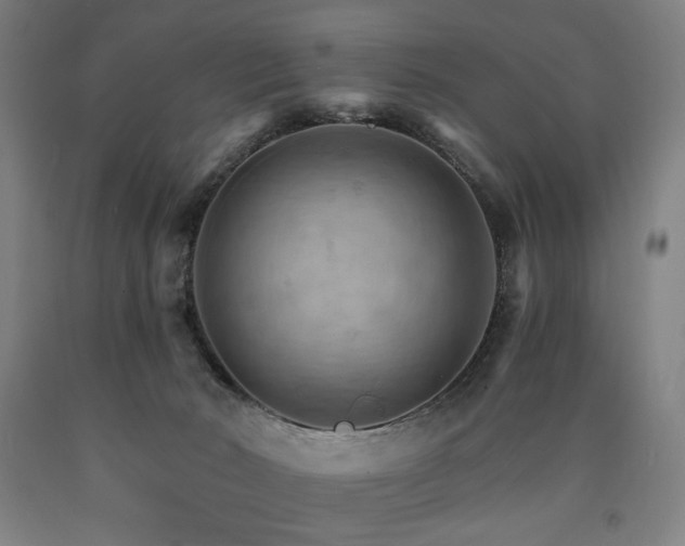 X0000090910030200707301443